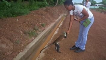 Study Abroad